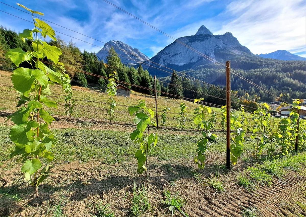 Der Trueferhof Appartamento