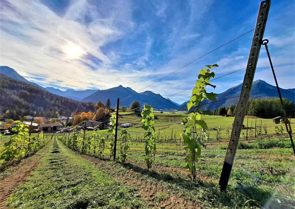 Der Trueferhof